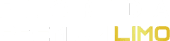 main website logo